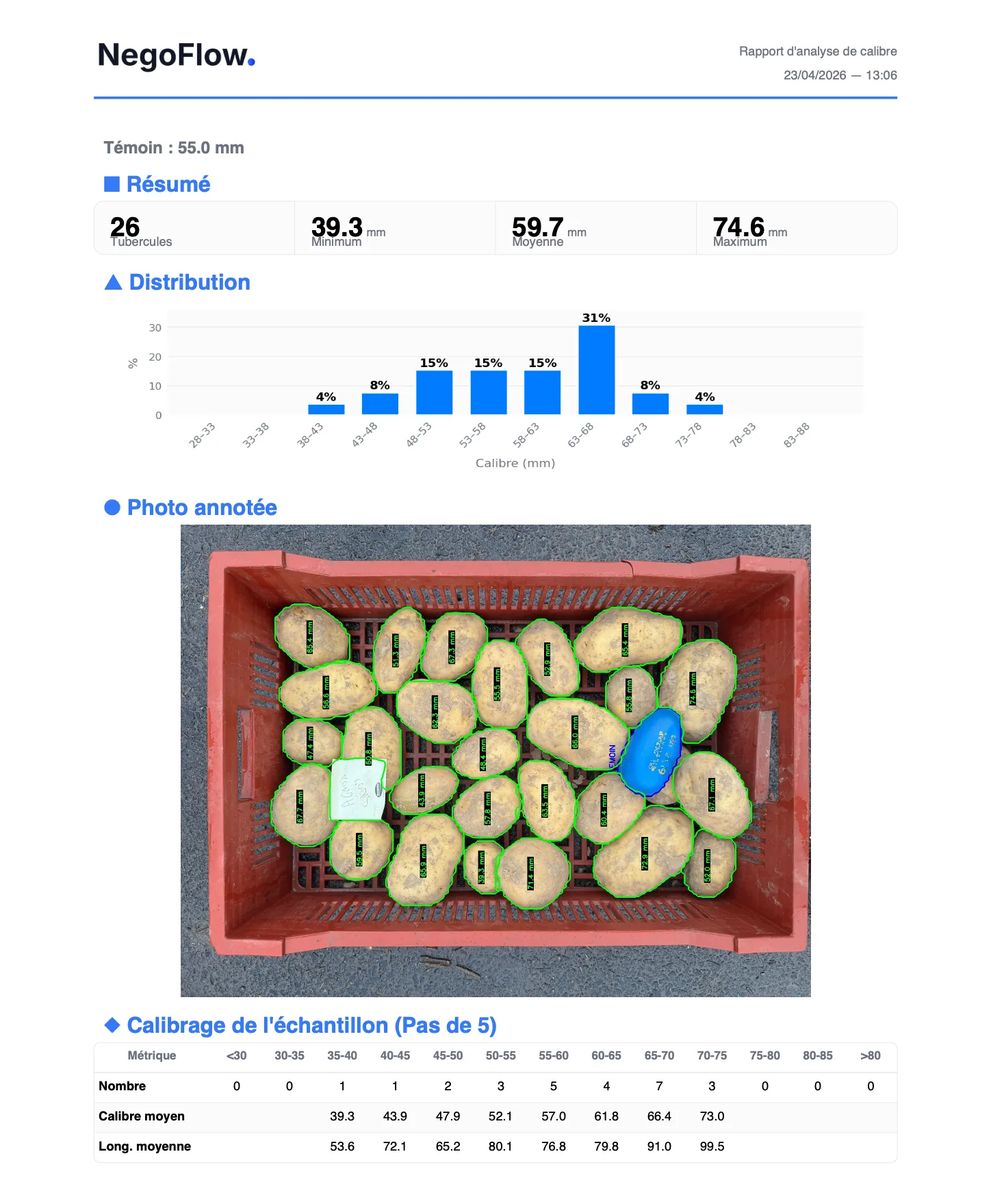 Rapport NegoFlow avec résumé, distribution et photo annotée de pommes de terre détourées